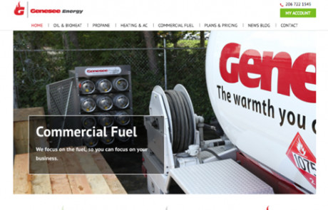 Screenshot of Genesee Energy's website homepage