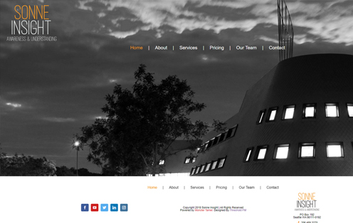 Screenshot of Road Ahead Strategy's website homepage